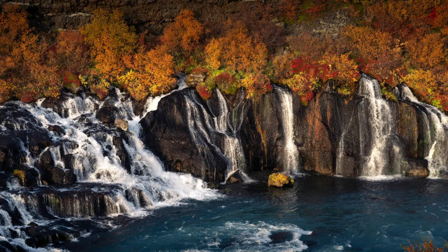 Many warterfalls peaking through a lava field, and orange vegetation